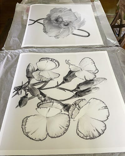 An example of Ann Latinovich's floral artwork An example of Ann Latinovich's floral artwork