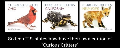 "Curious Critters" from across the country "Curious Critters" from across the country