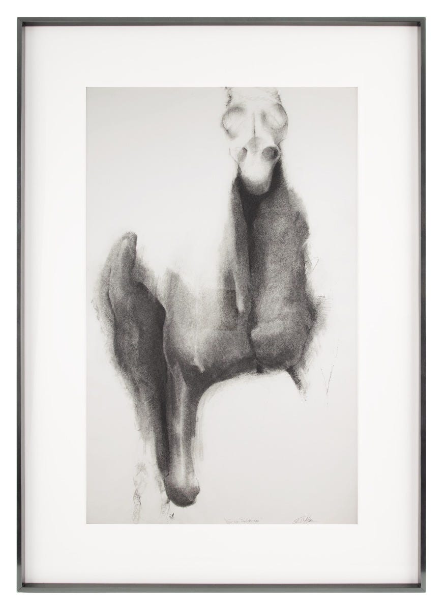 Charcoal horse drawing Charcoal horse drawing