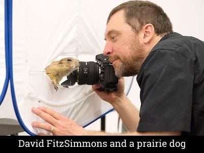 David FitzSimmons and a prairie dog David FitzSimmons and a prairie dog