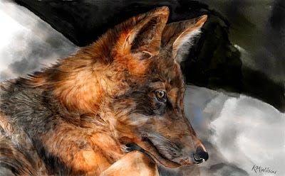 A red and brown wolf 