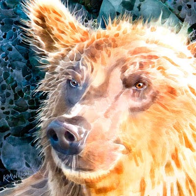 A close-up of a brown bear A close-up of a brown bear