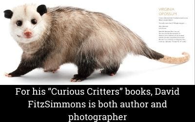A page from his "Curious Critter" books A page from his "Curious Critter" books