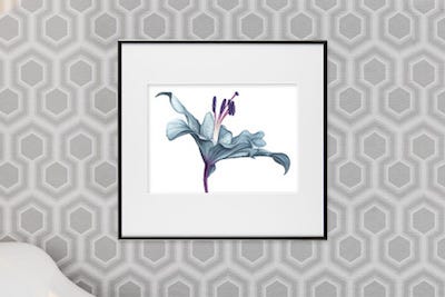 Presenting your work already framed online elevates the value and appearance Presenting your work already framed online elevates the value and appearance