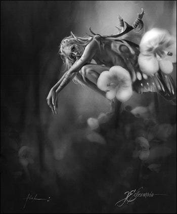 Tiana (Of Lammason Glen) by Jeff Echevarria Tiana (Of Lammason Glen) by Jeff Echevarria