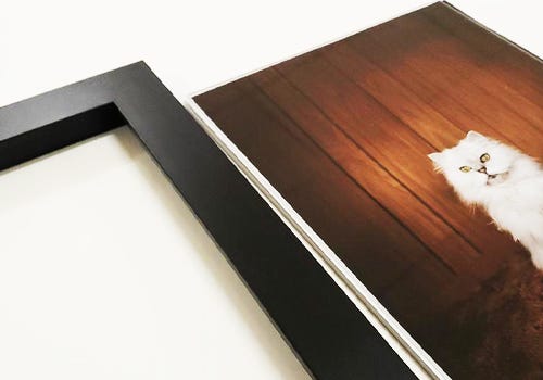A photo of a cat next to a frame A photo of a cat next to a frame