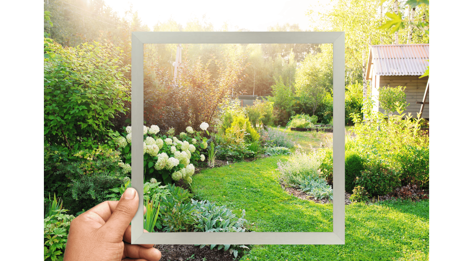 Capture the Colors of Spring