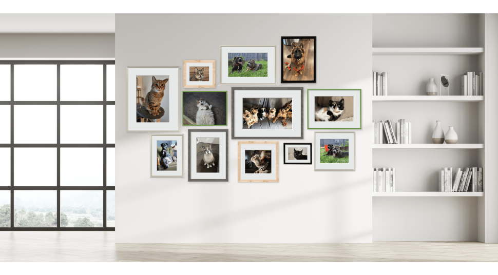 Custom Pet Gallery Wall