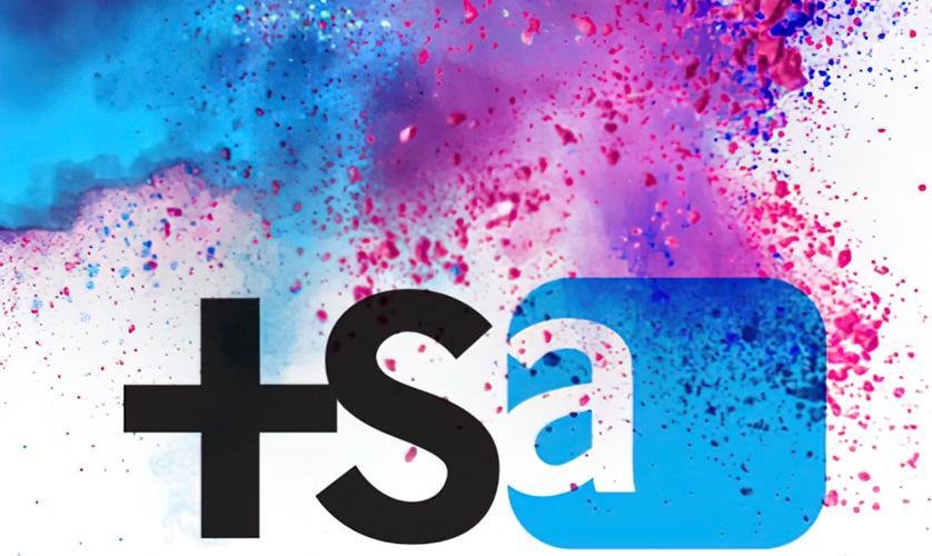Toledo School for the Arts logo with blue and purple splatter pattern