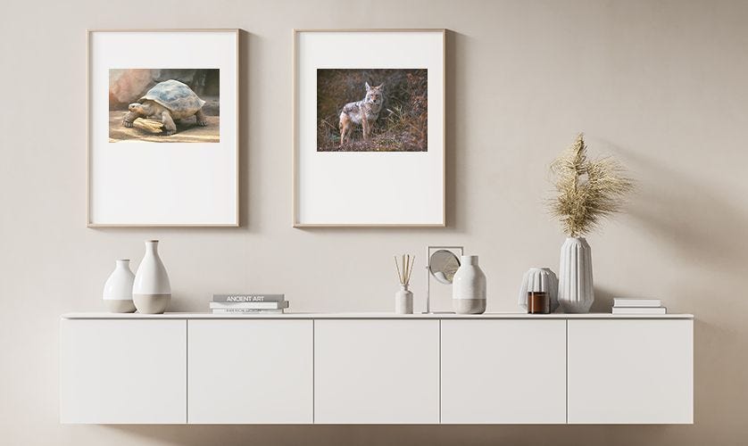 4 Reasons to Love Nielsen Frames As Much As We Do