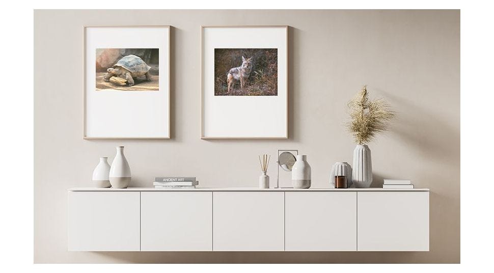 4 Reasons to Love Nielsen Frames As Much As We Do