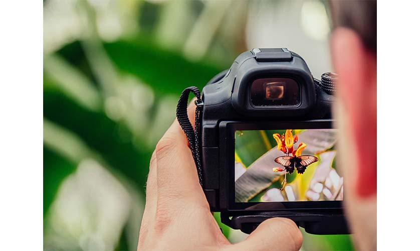 Framing Photography & Digital Images