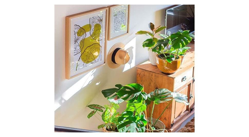 Mount Art Without Worry