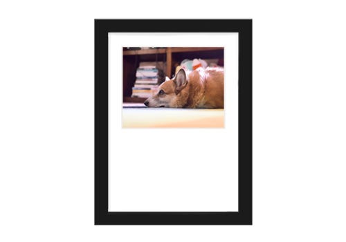 Corgi dog framed with a matte black frame and white mat that has a large drop-bottom. Corgi dog framed with a matte black frame and white mat that has a large drop-bottom.