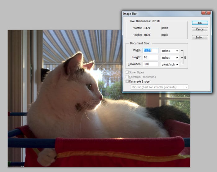 Image sizing Image sizing