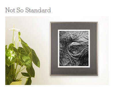 Not So Standard Curators' Choice Not So Standard Curators' Choice