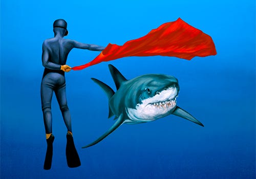 A scuba diver acting as a matador to a shark A scuba diver acting as a matador to a shark