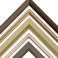 Nielsen earth-toned bronze, brown and gold metal picture frames