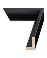 Matte Black Canvas Float Frame