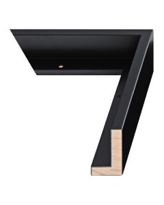 Matte Black Canvas Float Frame