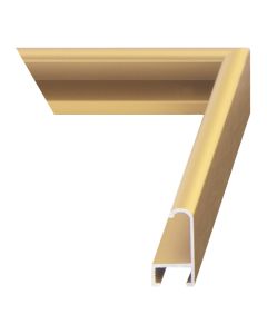 Frosted Gold Metal Picture Frame