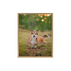 11x14 Nielsen 93 Frosted Gold Metal Picture Frame Kit