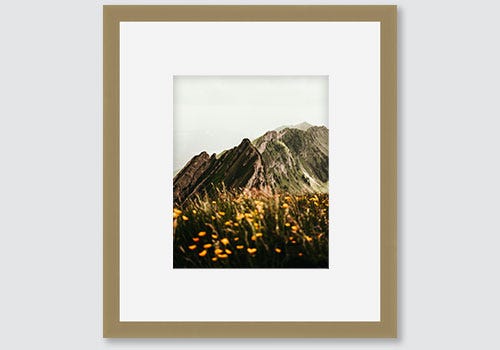 Nature scene framed in a gold metal picture frame and Peterboro mat board Nature scene framed in a gold metal picture frame and Peterboro mat board