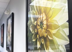 Acrylic plexi-glass glazing for framing artwork and photography