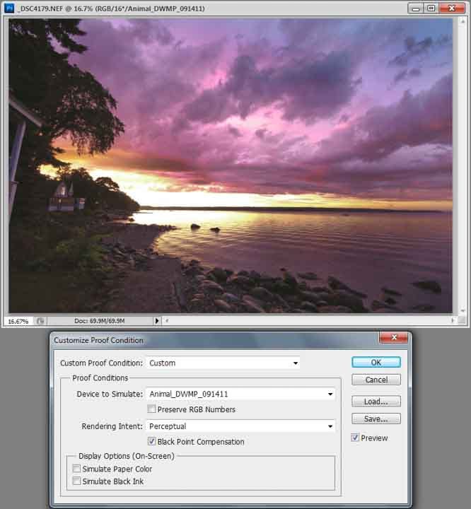 Image proof using Perceptual Intent Image proof using Perceptual Intent