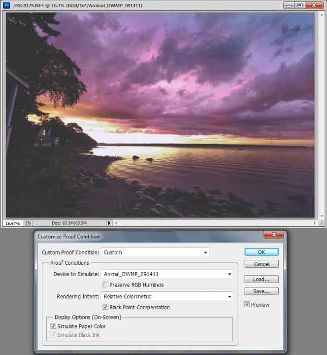 Soft proof with Simulate Paper Color selected Soft proof with Simulate Paper Color selected