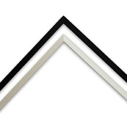 Canvas Floater Nielsen profile 13 custom metal picture frames