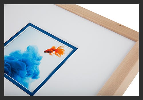 Double mat boards can beautifully enhance your image. Double mat boards can beautifully enhance your image.