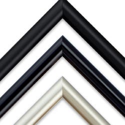 Radius Plus Nielsen profile 25 custom metal picture frames
