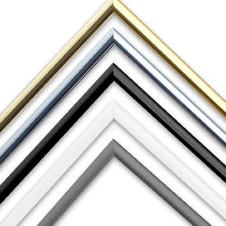 Standard Nielsen profile 11 custom metal picture frames