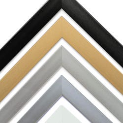 Standard Plus One Nielsen profile 95 custom metal picture frames